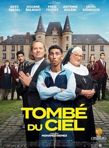 tombé-du-ciel